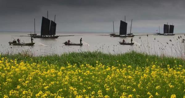 微信图片_20191007185020 微信图片_20191007185020