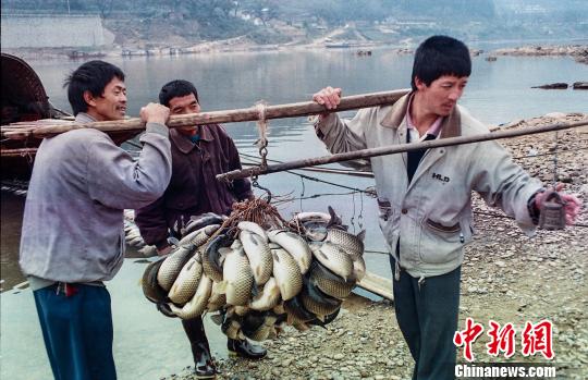 点击进入下一页