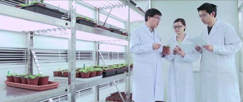 微信图片_20191012173636