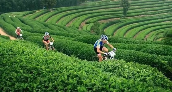 微信图片_20191013195821 微信图片_20191013195821