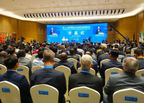 开幕式现场。