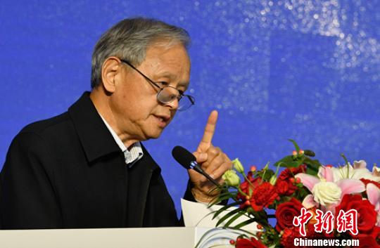 故宫博物院研究员王连起作《苏轼在文人画发展中的作用》主旨演讲?！×踔铱?摄