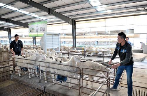 360截图20191030171216124