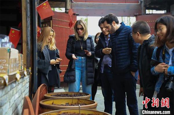 品赏郫县豆瓣。　蔡延 摄