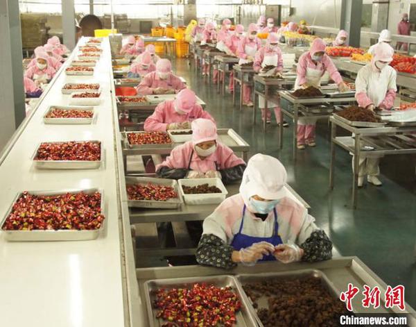 图为企业工人进行牦牛肉加工?！≈有?摄