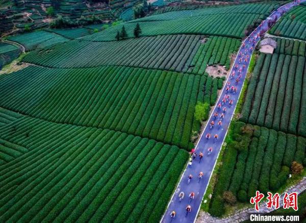 图为:往届丽水摄影节掠影 丽水供图 摄 图为:往届丽水摄影节掠影 丽水供图 摄