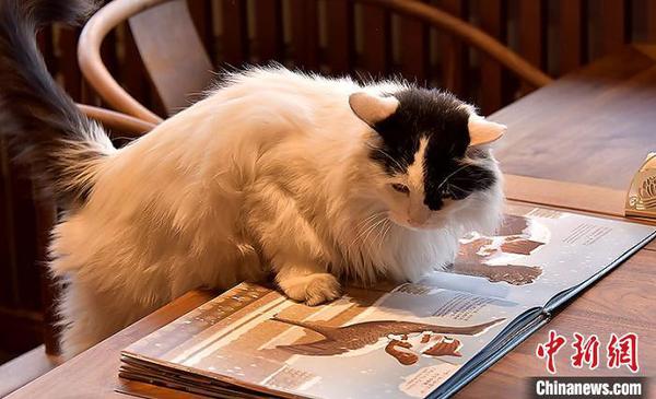 点击进入下一页