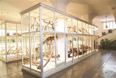 点击进入下一页