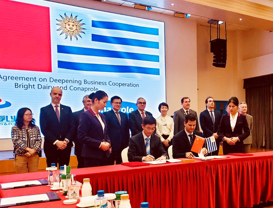 微信图片_20191105212408 微信图片_20191105212408