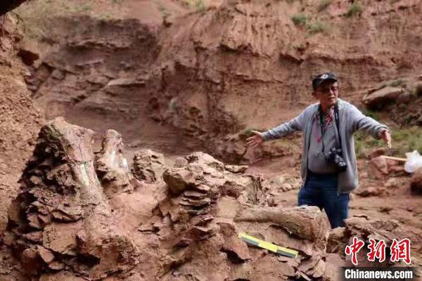 甘肃省临夏回族自治州永靖县官方在“黄河化石论坛”上披露称，近期在该县关山乡红楼村发现了巨龙形类蜥脚类和新鸟臀类恐龙化石?！『钇嬷?摄