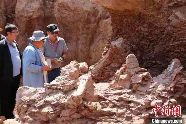 图为科研人员对巨型恐龙骨骼化石进行考察。　侯奇志 摄
