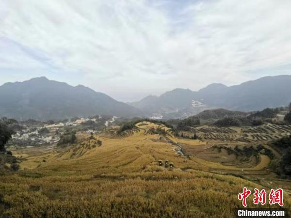 “浙西南小城”新观察:开放包容打造国际摄影名城