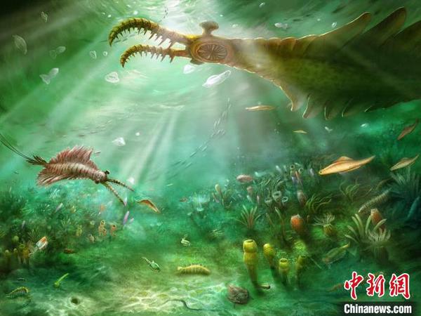 图为澄江生物群生态复原图。中国科学院南京地质古生物研究所供图