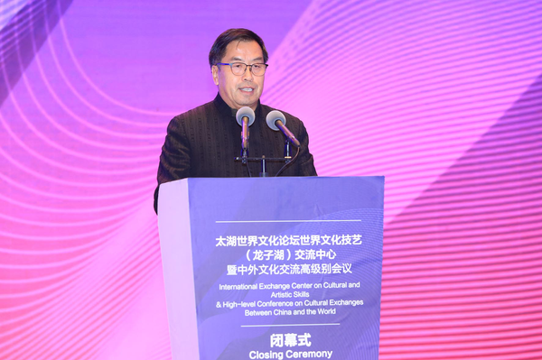 全国政协委员、故宫博物院原常务副院长王亚民发言