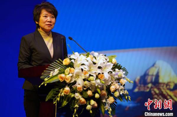 河北省人民政府副省长夏延军致辞。　钟欣 摄