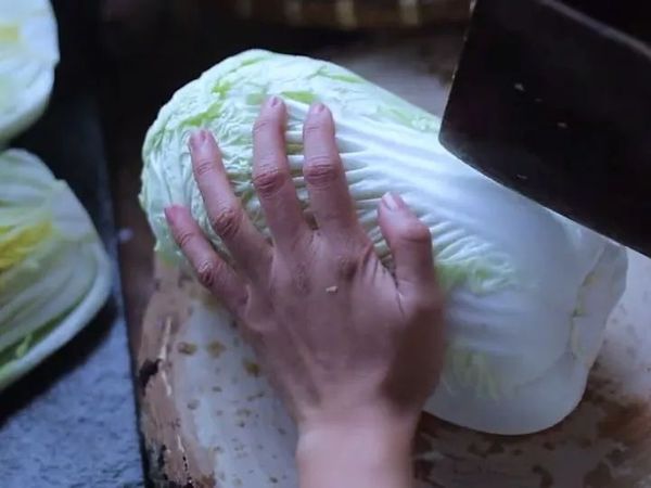 ▲李子柒视频截图