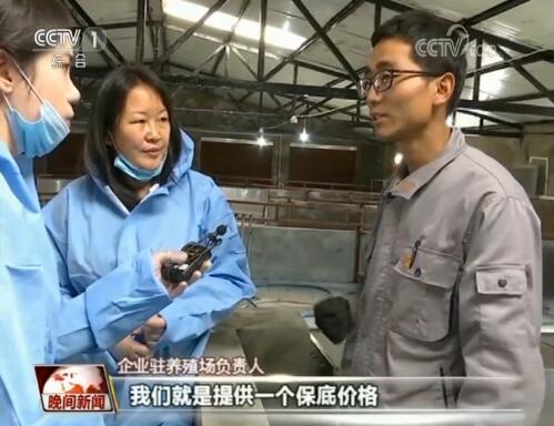 图片来源:央视 图片来源:央视