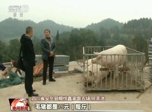 图片来源:央视 图片来源:央视