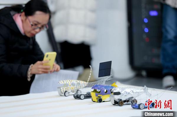 意大利女艺术家维奥莉特？梅拉德的作品 杜洋 摄