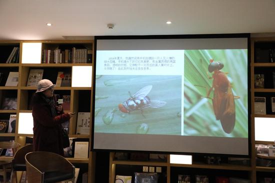 半夏讲自己与虫虫的故事