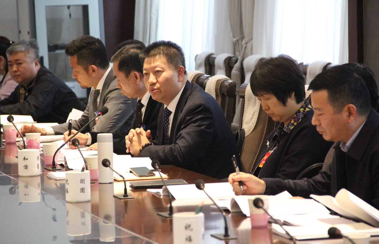 委员热议政协常委会工作报告和提案工作报告