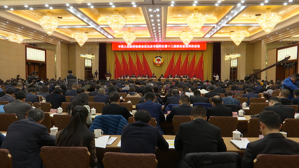 637PX1PE.08_20_24_22.Still001 637PX1PE.08_20_24_22.Still001