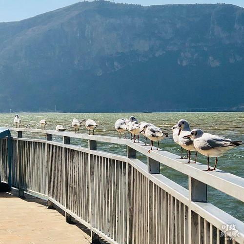 点击进入下一页