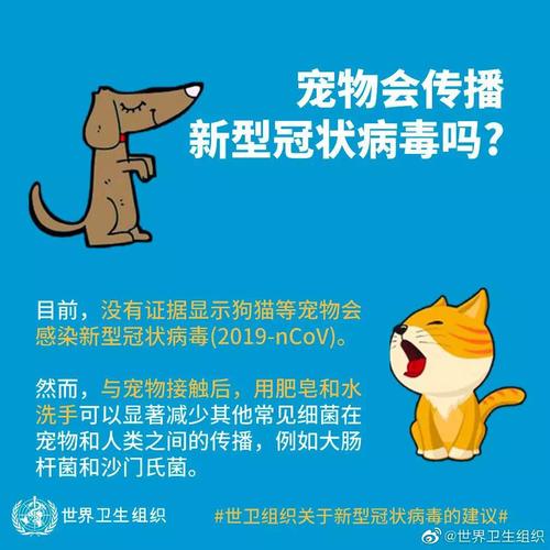 微信图片_20200205155036 微信图片_20200205155036