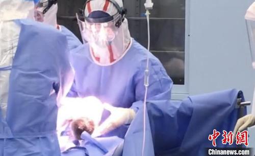 手术现场?！≌愦笠辉?供图 摄