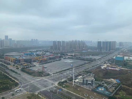 战疫日记武汉第十七天2 战疫日记武汉第十七天2