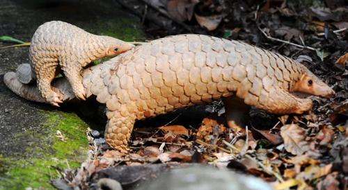 微信图片_20200213102456