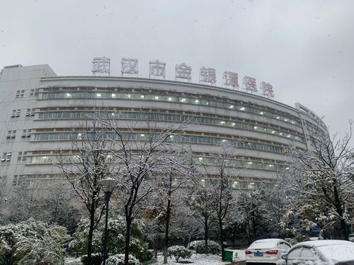 武汉第22天 武汉第22天