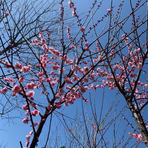 战疫日记武汉第23天 战疫日记武汉第23天