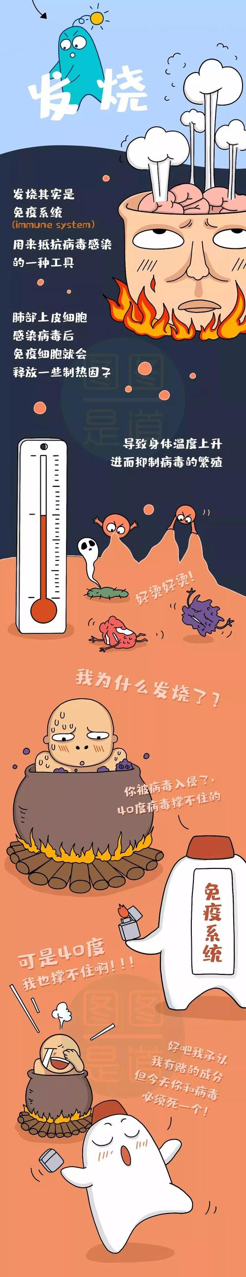 微信图片_20200219190708