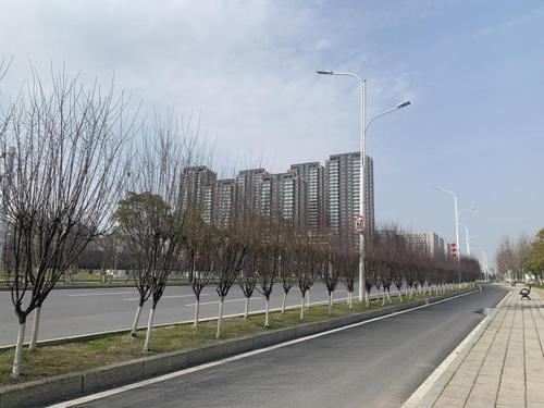 战疫日记武汉30天1 战疫日记武汉30天1