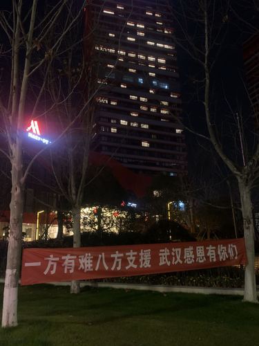 战疫日记武汉30天2 战疫日记武汉30天2