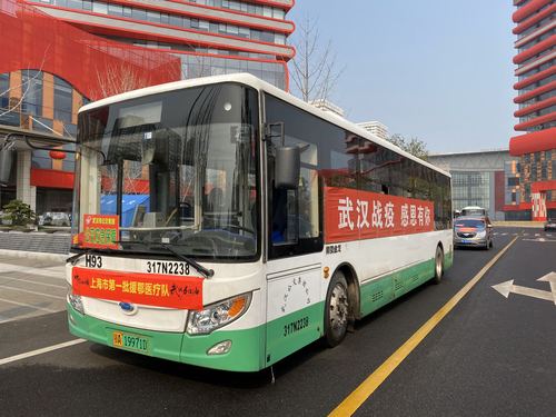 武汉第三十三天1 武汉第三十三天1