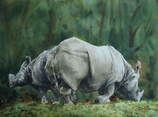 19 作者:胡晓幸 作品名称:《野生动物 人类的朋友》 19 作者:胡晓幸 作品名称:《野生动物 人类的朋友》