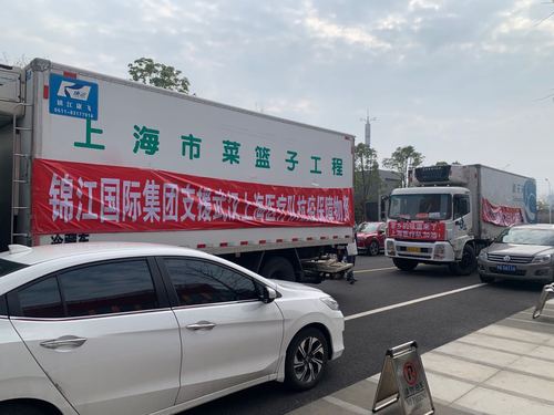 战疫日记武汉41天2 战疫日记武汉41天2