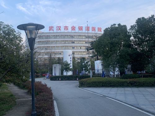 战疫日记武汉42天 战疫日记武汉42天