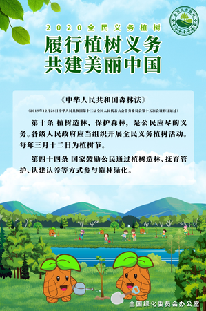 植树节 植树节