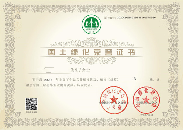 植树节4 植树节4