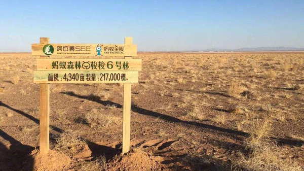 植树节5 植树节5