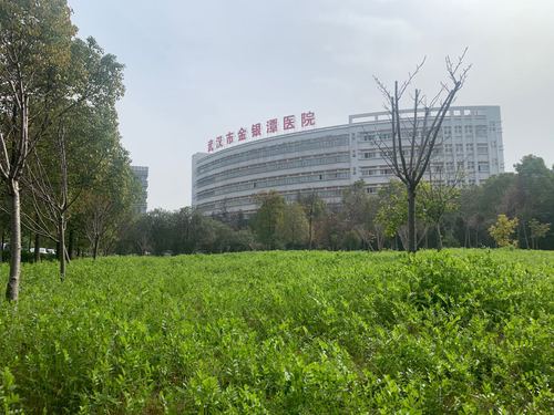 武汉第四十七天 武汉第四十七天