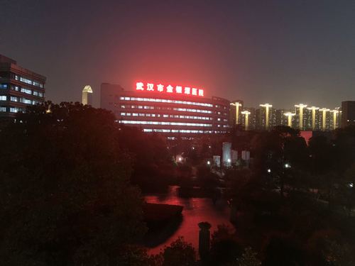 武汉第五十天2 武汉第五十天2