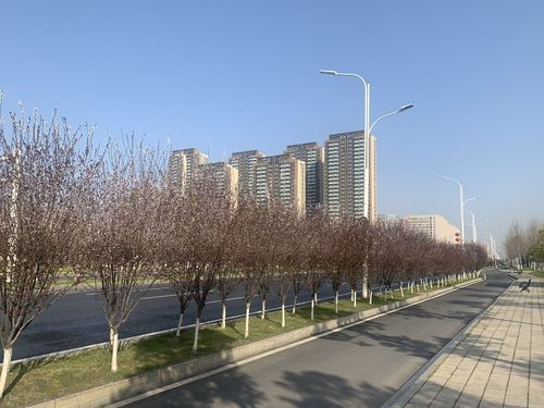 战疫日记武汉第五十一天1 战疫日记武汉第五十一天1