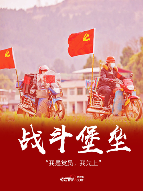 2020032009021232855 2020032009021232855