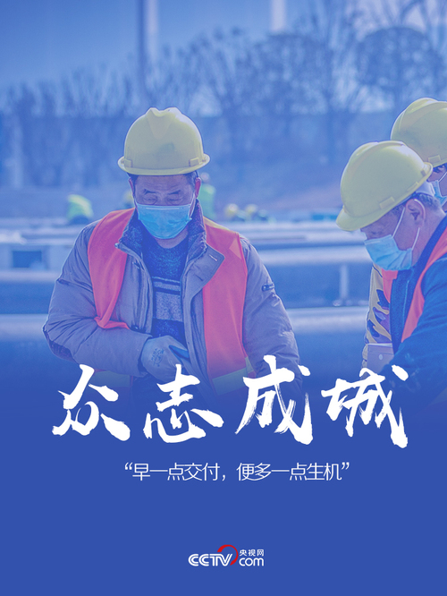 2020032009021214339 2020032009021214339