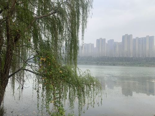 战疫日记武汉第五十八天1 战疫日记武汉第五十八天1