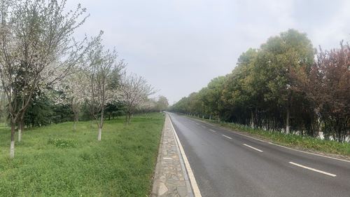 战疫日记武汉第五十八天2 战疫日记武汉第五十八天2